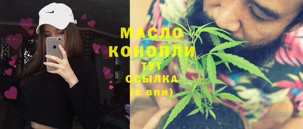 молекула духа Гусев