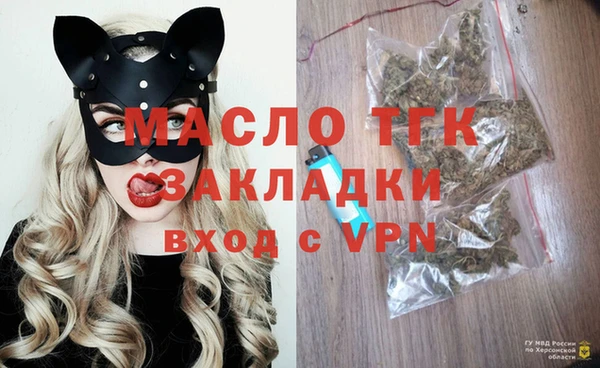 молекула духа Гусев