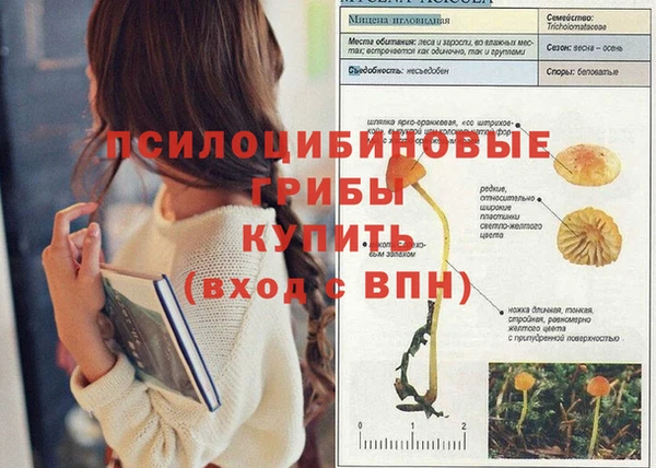 MDMA Гусиноозёрск