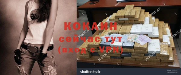 молекула духа Гусев