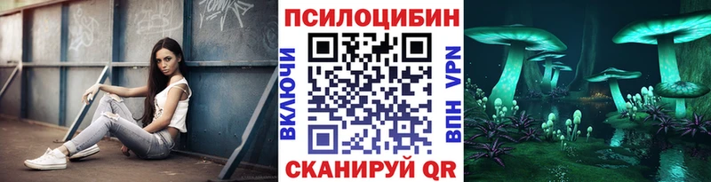 дарнет шоп  Облучье  Галлюциногенные грибы Psilocybine cubensis 
